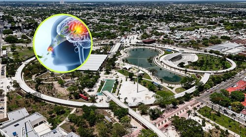 Detectan ameba 'comecerebros' en lagos artificiales de Mérida