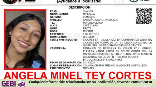 small_angela_desapaecida_guadalupe_174f873ebf_0892e057c3