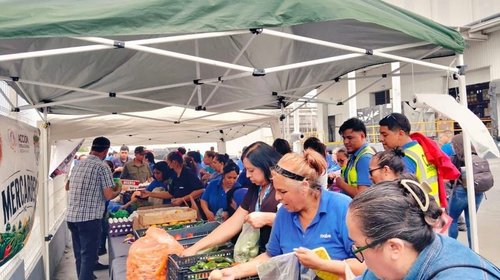 Unen organizaciones esfuerzos para llevar apoyos sociales