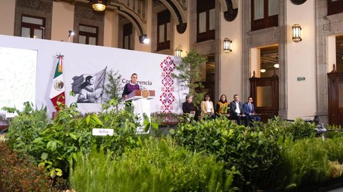 Coahuila se suma a Jornada de Reforestación con 50 mil semillas