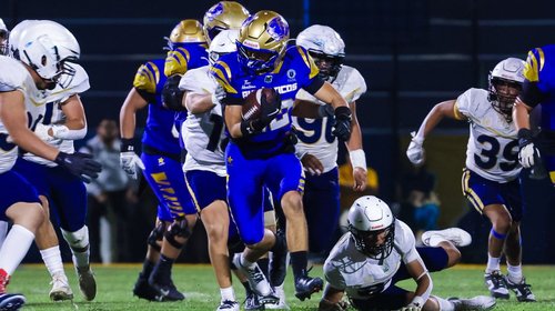 autenticos_tigres_2734fb4606