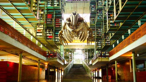 Secretaría de Cultura pide reabrir la Biblioteca Vasconcelos