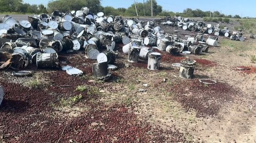 Dejan botes con fruta podrida tras volcadura de tráiler