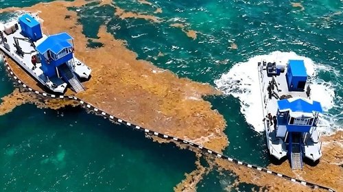 Buscan impulsar turismo con presupuesto multianual contra sargazo