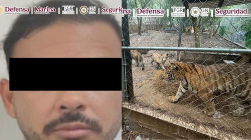 small_cae_nl_lider_cartel_noreste_f25066ac1a