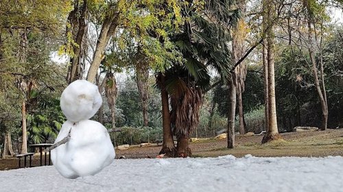 caida_nieve_lampazos_de_naranjo_nuevo_leon_97156721ef