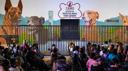 Renombran Centro de Bienestar Animal en honor a K9 Cairo