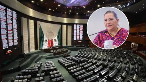 Cámara de Diputados recibe renuncia de Guadalupe Taddei por INE