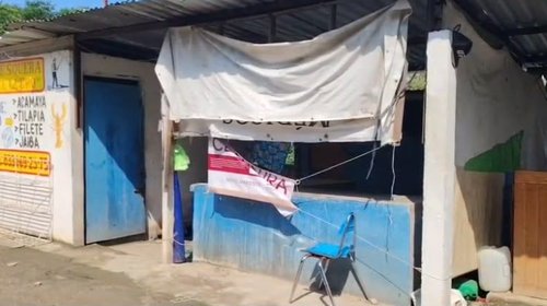 Clausuran negocio en Tampico por vender carne de cocodrilo