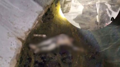 small_colectivos_hallan_cuerpo_durante_jornada_busqueda_reynosa_b2a0360bf0