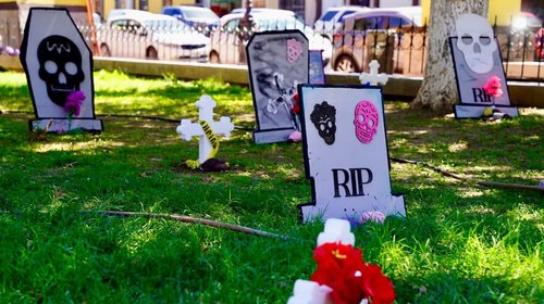 d95d45c7_c290_4466_944b_8256811feeba_0ac9bd2c9d