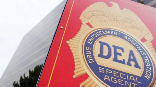 dea_sheinbaum_ef5579b06e