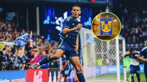 small_dejan_joveljic_tigres_e8e9df1ac6