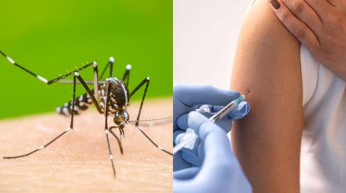 dengue_influenza_tamaulipas_744ef32320