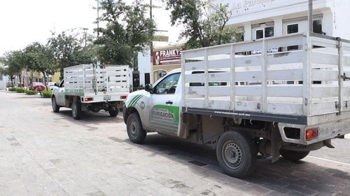 dengue_matamoros_b4f0da6be1