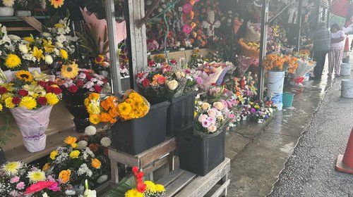 Llaman a vigilar los precios de las flores por Día de Muertos
