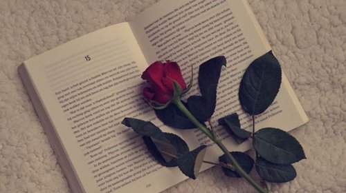 dia_internacional_libro_b3a0a1a5c2