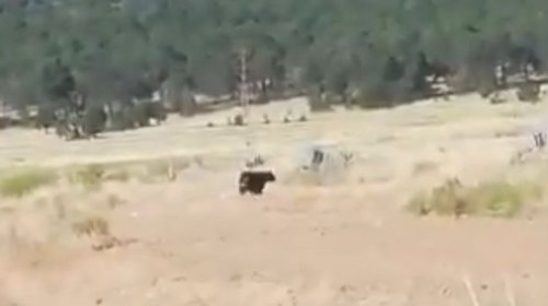 ed766654_2f9b_494e_89de_6254f05ea9f5_053b7ef030