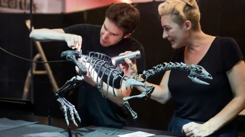 enigma_install20250620_001_20250625171218613_4f955fb9ae