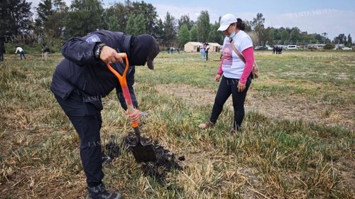 f960x540_851299_925374_5050_51d6c2a1e1