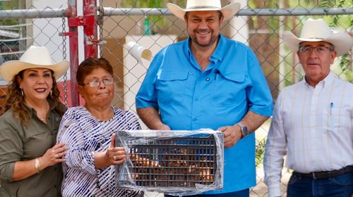 Aves de traspatio llegan a 83 comunidades de Ramos Arizpe