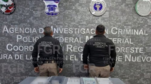 fgr_resultado_mensual_nuevo_leon_8f5c7cd41f