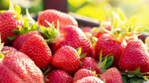 finanzas_fresas_aca2d549ab