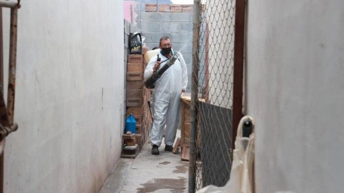 Sube a 58 defunciones en Coahuila por rickettsiosis