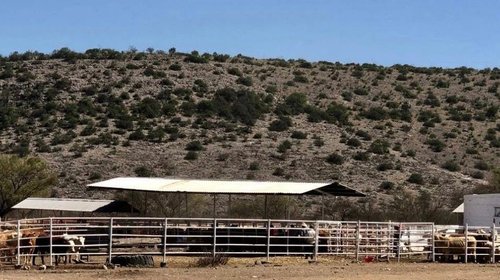 ganaderia_903ef8839e