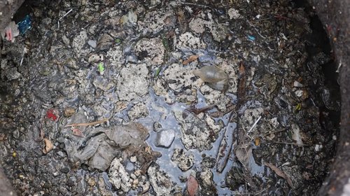 image00004_1_0c690920cb