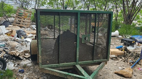 Reportan oso en San Jerónimo y moviliza a Protección Civil