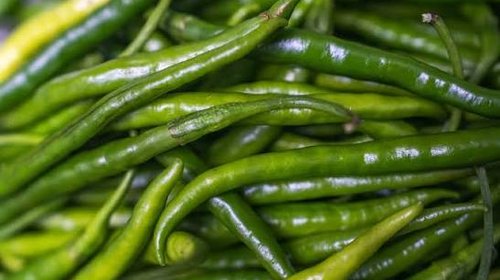 Cofepris investiga empacadora de jalapeño por salmonela