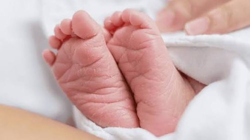 IMSS analiza muestras por casos de Klebsiella en Durango