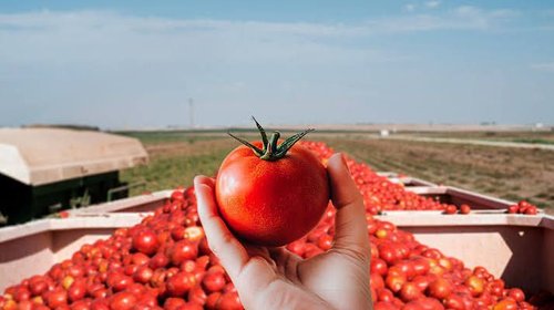 Se acelera inflación a 3.42% ante alza en frutas y verduras