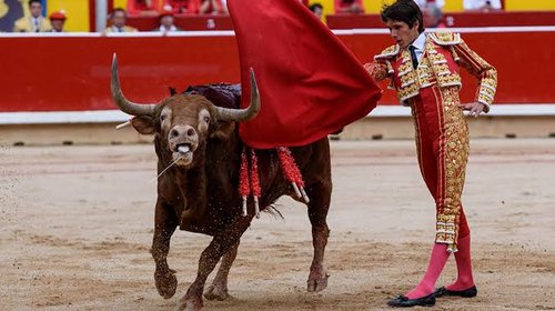 Teme sector de la tauromaquia golpe económico por ley animal