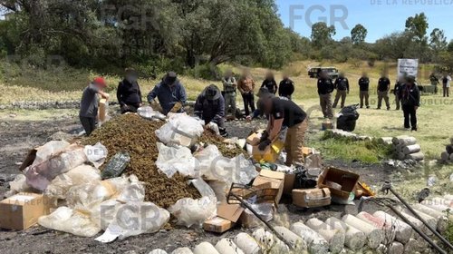 Incineran más de media tonelada de drogas en Edomex
