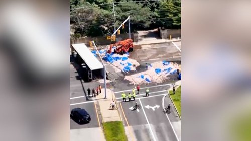 Volcadura de camión deja cientos de calamares en carretera de EUA