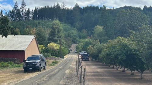 Investigan hallazgo de cinco cuerpos en zona rural de Oregon