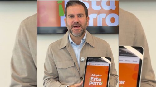 Lanza Nuevo León portal para adoptar perros y gatos rescatados