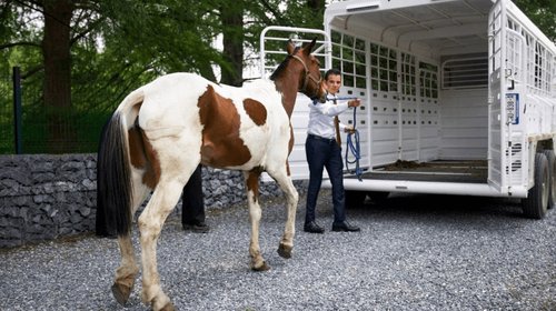 manchas_2026_ebdd84b340