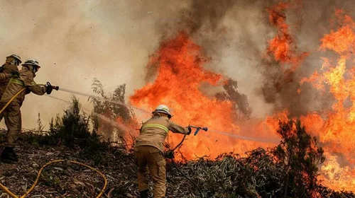 mexico_incendios_b207a99d75