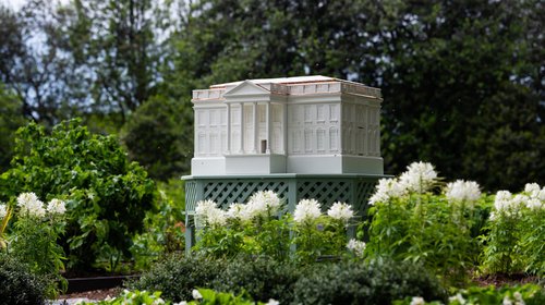 miel_colmena_casa_blanca_d50203fba2