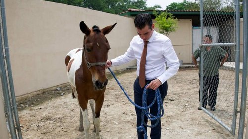 mike_flores_garantiza_vida_digna_santuario_1042f46fae