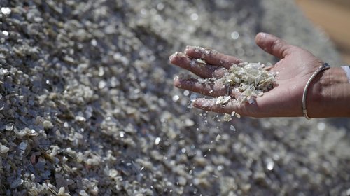 minerales_sheinbaum_9083876be2