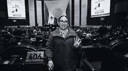 Muere Anay Beltrán Reyes, diputada de Morena, a los 44 años