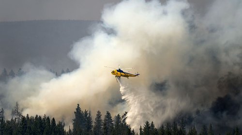Suman cuatro bomberos fallecidos en incendios forestales de EUA