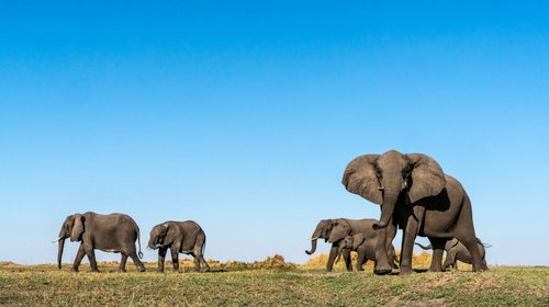 nationalgeographic2727514_1bb4021cd4