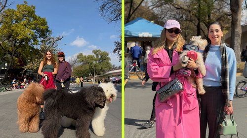 nl_01_feb_01a82ca805