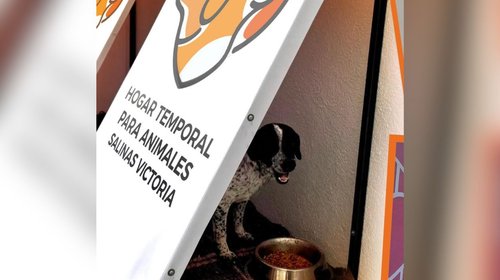 nl_animales_salinas_victoria_86e168aec9