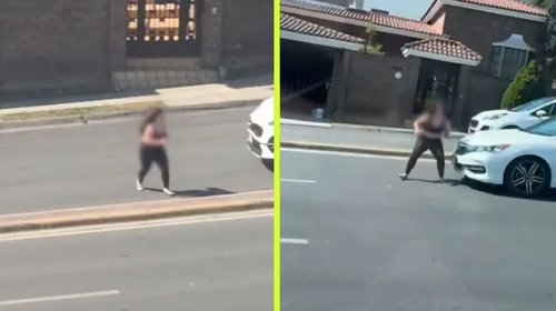 nl_atropellada_leones_de1cf464bf